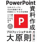 PowerPoint материалы изготовление Professional. большой принцип 