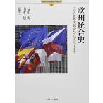  Europe унификация история : 2 .. мир большой битва из пятно gjito до (Minerva Modern History 1)