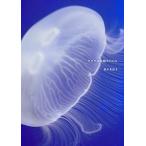  медуза аквариум BOOK