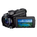 SONY ビデオカメラ HANDYCAM PJ790V 光学10倍 内蔵メモリ96GB HDR-PJ790V-B