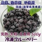 2025年 生食用冷凍ブルーベリー 500g×3 無農薬栽培 国産ブルーベリー ラビット・アイ ★すみません、人件費、諸費用高騰で、値上げさせて頂きました