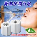 ショッピングブリタ EMセラミック PIPE35 EM パイプ35 2個入り 水質改善 水道水 浄化 還元 セラミックス EM EM生活 EMXゴールド emxgold おすすめ