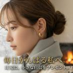  серьги боль . нет серьги видно обруч серьги металл аллергия соответствует никель свободный силикон с покрытием .. трудно большой .. сверху товар простой 20 плата 30 плата 40 плата 50 плата 