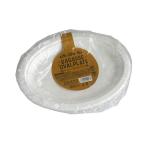 バガスプレート 楕円 26×20cm 4枚入 (100円ショップ 100円均一 100均一 100均)