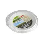 紙皿 15cm 12枚入 リードエコ (100円ショップ 100円均一 100均一 100均)