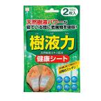 Yahoo! Yahoo!ショッピング(ヤフー ショッピング)足裏シート 樹液力（健康シート） 2枚入 （100円ショップ 100円均一 100均一 100均）