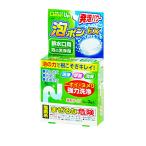 洗浄剤 排水口用 塩素系 錠剤タイプ 3錠 泡ポンＥＸ (100円ショップ 100円均一 100均一 100均)