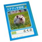 ステディ学習帳 こくご 10マス 21mmマス 10×7 セミB5 40枚 (100円ショップ 100円均一 100均一 100均)