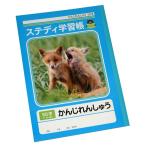 ステディ学習帳 かんじれんしゅう 50字 22mmマス 10×5 セミB5 40枚 (100円ショップ 100円均一 100均一 100均)