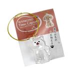 わんこのタイムカプセル ［種類指定不可］ (100円ショップ 100円均一 100均一 100均)