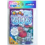 ふしぎな実験キット キラキラてづくり石けん (100円ショップ 100円均一 100均一 100均)