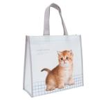 不織布コーティングバッグ イヌネコフォト柄 M(27×30×マチ12cm) ［柄指定不可］ (100円ショップ 100円均一 100均一 100均)