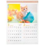 ショッピング写真 カレンダー 2026 壁掛け A2 ネコ写真 (100円ショップ 100円均一 100均一 100均)