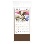 カレンダー 2027 卓上タテ型 イヌ写真 (100円ショップ 100円均一 100均一 100均)