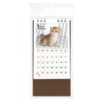 カレンダー 2027 卓上タテ型 ネコ写真 (100円ショップ 100円均一 100均一 100均)