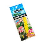 バルくん 虫取り粘着シート ミニサイズ(2.5×12.6cm) 10枚入 (100円ショップ 100円均一 100均一 100均)