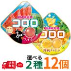 kororo Okinawa сосна арбуз 12 шт. комплект можно выбрать 2 вид gmiUHA тест . сахар ассортимент массовая закупка сезон ограничение фрукты gmi.. сладости набор доля ....