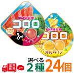 kororo Okinawa сосна арбуз 24 шт. комплект можно выбрать 2 вид gmiUHA тест . сахар ассортимент массовая закупка сезон ограничение фрукты gmi.. сладости набор доля ....