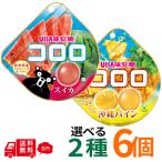 kororo Okinawa сосна арбуз 6 шт. комплект можно выбрать 2 вид gmiUHA тест . сахар ассортимент массовая закупка сезон ограничение фрукты ..ju-si- сладости закуска набор еда . сравнение 