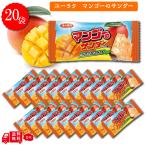 マンゴーのサンダー 20個 賞味期限2026年1月8日 超特価