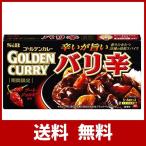 S&B ゴールデンカレー バリ辛 198g 【10点セット】