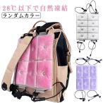 背中 冷却 シート アイスパッド リ�