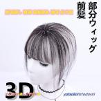 部分ウィッグ 前髪 ヘアピース 3D構�
