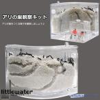 アリの巣　あり観察キット　飼育ケース　砂　自由研究 小学生 あり 蟻 飼育セット 実験セット 観察　夏休み　学習用