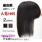 ウィッグ 自然 部分ウィッグ約30cm �