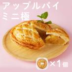アップルパイ ミニ 極 贈り物 お取り寄せ ギフト 故郷 秋田 あきた 鹿角市 鹿角 スイーツ お菓子 りんご