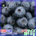 [ специальный отбор ].. рефрижератор голубика [ большой шар ] примерно 1kg[ пестициды не использование ]