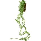 ケーアイジャパン インテリアグリーン 造花 観葉植物 光触媒 フェイクグリーン ビーンバイン 壁掛け 74cm