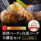 唐津バーグと白黒バーグ大満足セット