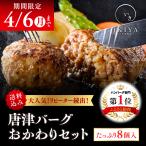 唐津バーグおかわりセット（8個入）