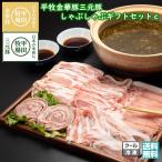平牧 金華豚 三元豚 オリジナル ギフトセット 冷凍 (KB-01) 平田牧場 送料無料 限定 しゃぶしゃぶ ロール ステーキ 母の日 父の日【B02】