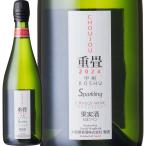  - gi-* Spark -слойный татами 2024