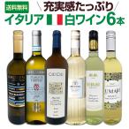 バラエティ豊かな個性を満喫 激旨イタリア Italy 白ワイン wine 6本セット set