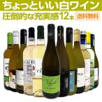 白ワイン セット wine 12本 set 750ml フ