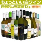 ショッピングセット 白ワイン セット wine 12本 set 750ml フランス イタリア など 第71弾 ちょっといい 辛口 厳選