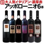濃厚赤ワインセット 6本 wine set 大人気イタリアンアッポローニオ Italy