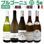 厳選ブルゴーニュ白ワイン5本セット wine set bourgogne