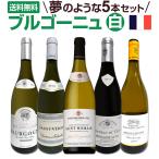 厳選ブルゴーニュ bourgogne 白ワイン wine 5本セット set