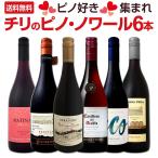 赤ワイン セット チリ 6本 750ml wine se