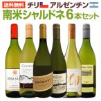 デイリー・シャルドネ chardonnay の決