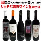 当店ベストセラーばかり 赤ワイン wine だけ リッチな贅沢ワイン wine 5本セット set