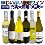 白ワイン セット フランス イタリア wine set 6本 750ml 辛口 第204弾 様々な味わいが楽しめる充実大満足のスーパー・セレクト