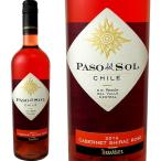 テラ マター パッソ デル ソル ロゼ カベルネ シラーチリロゼワイン750mlミディアムボディ辛口 wine rose Chile
