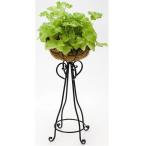 ������̤��ۥ������ġ����� H201 ��������ץ�󥿡�L������ H-201�ڥ᡼����ľ���ۡ����/Ʊ���Բġۡڥݥåȡ������ǥ˥󥰡�