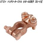 大自工業　#71D＋　バッテリーターミナル　小ポール　B端子　スピード式【ネコポス対応品】【お取り寄せ商品】バッテリー　ターミナル