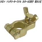 大自工業　#4D＋　バッテリーターミナル　大ポール　D端子　蝶ネジ式【お取り寄せ商品】バッテリー　ターミナル
